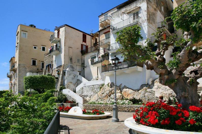 Casa Susy Bouganville 400 Mt Dal Mare スペルロンガ エクステリア 写真