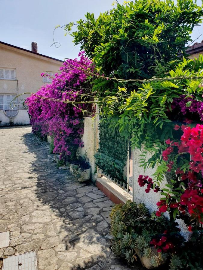 Casa Susy Bouganville 400 Mt Dal Mare スペルロンガ エクステリア 写真